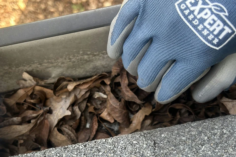 Gutter Cleaning Treasure Island FL