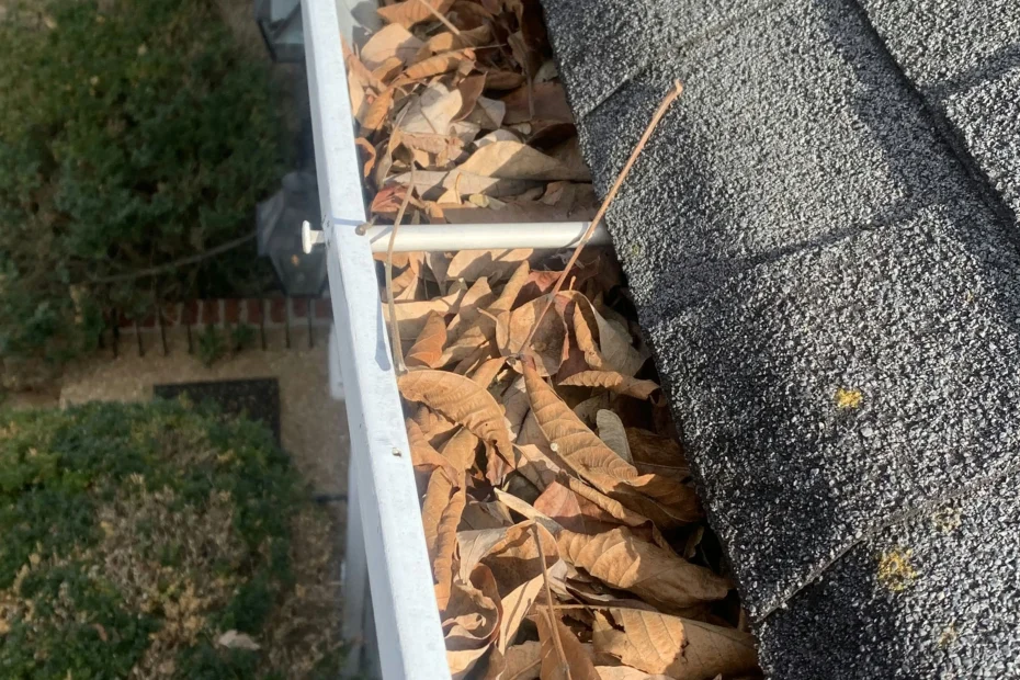 Gutter Cleaning Treasure Island FL