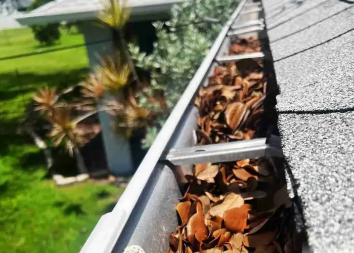 Gutter Cleaning Treasure Island FL home page